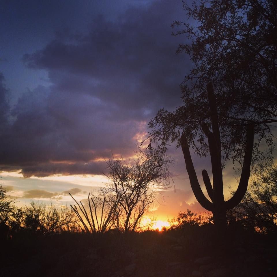 Beautiful Arizona sunsets